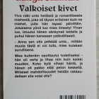 Sandemo-sarja 9 Valkoiset kivet - pikkukuva 2