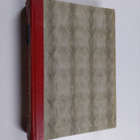 George Eliot : Mylly joen rannalla - pikkukuva 1