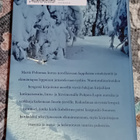Martti Peltomaa - Helmijänikset - pikkukuva 2