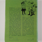 Astrid Lindgren : Marikki ja Kesäkummun Tuikku - pikkukuva 2