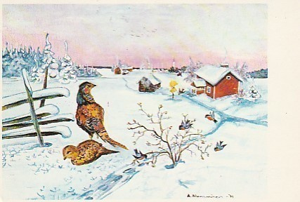 Postikortti, Eläinaihe, eläimet ,lintu / linnut