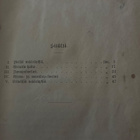 Lokomotiivin kuljettajille ja lämmittäjille - pikkukuva 2