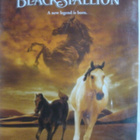 YOUNG BLACK STALLION DVD - pikkukuva 1