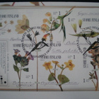 FDC Kevät kukkii 5.3.2012 - LaPe BL74 - pikkukuva 2