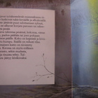 Margaret Lane: Majava + Rautakala - pikkukuva 2