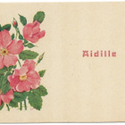 Carita (Cata) Rodén Äidille kukkia - pikkukuva 1