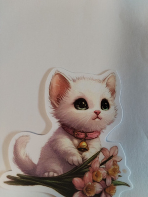 Kissa tarra.