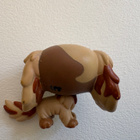 LITTLEST PET SHOP SPANIELI - pikkukuva 2