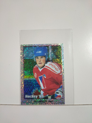 1995 Panini Hockey Stickers #297 Jaromir Jagr