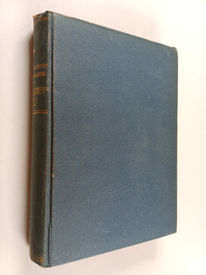 Alessandro Manzoni : Kihlautuneet