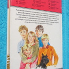 Enid Blyton - Kadonneen Prinssin SALAISUUS - pikkukuva 2