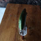 Rapala Sinking Rainbow 5cm - pikkukuva 3