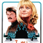 tyttö petrovkasta (40 679) UUSI -FI- DVD suomik. goldie haw - pikkukuva 1