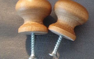 2 PUISTA KAAPINNUPPIA