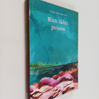 Vigdis Grimsdottir : Kun tähti putoaa : romaani - pikkukuva 1