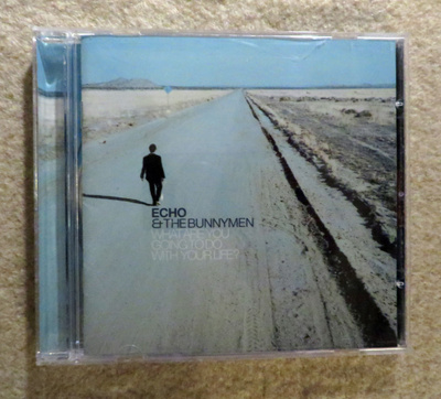 ECHO & THE BUNNYMEN: What Are You Going... CD