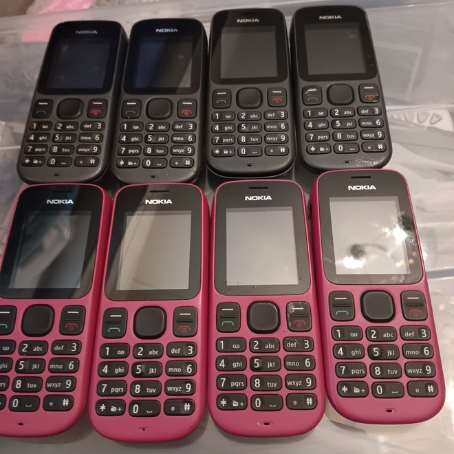 Nokia 100