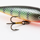 JAN vaappu, Niemivaara, 7.5cm, ”Mätökala” - pikkukuva 2