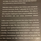 ITALO CALVINO: JOS TALVIYÖNÄ MATKAMIES - pikkukuva 2