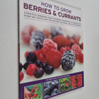 Kate Whiteman ym. : How to Grow Berries and Currants - A ... - pikkukuva 1
