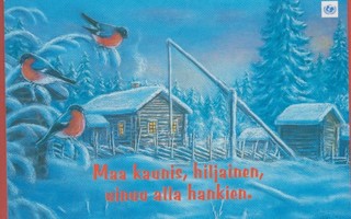 Terho Peltoniemi Linnut , vinttikaivo ja rakennukset talvi