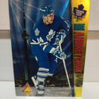 1994-95 Pinnacle #NNO Dave Andreychuk - pikkukuva 1
