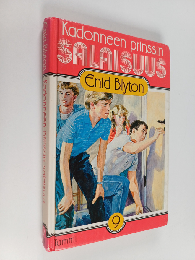 Enid Blyton : Kadonneen prinssin salaisuus