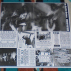 BAREFOOT BROTHERS ~ Liquid Pigfarm ~ LP - pikkukuva 3