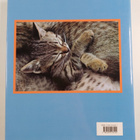 Hans Silvester : Sleeping in the Sun : Carefree cats of t... - pikkukuva 2