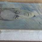 Stein Riverton: Aaveparooni, Minerva 1928. 262 s. - pikkukuva 3