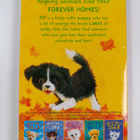 Linda Chapman : A forever home for Pip - pikkukuva 2