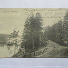 Sulkava - 1906 - pikkukuva 1