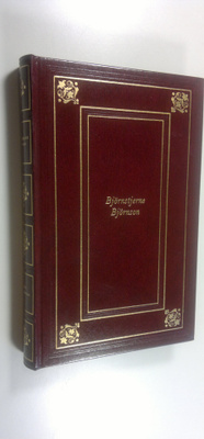 Björnstjerne Björnson : Liput liehumassa