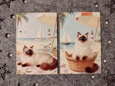 ~Kissa kortti~ 2kpl