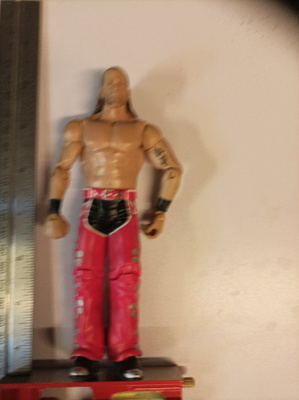 WWE Shawn Michaels HKB 2010