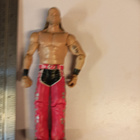 WWE Shawn Michaels HKB 2010 - pikkukuva 1