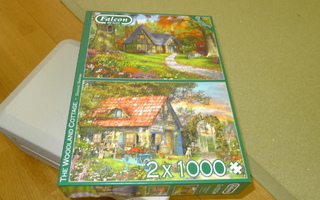 Palapeli 2x 1000 palaa
