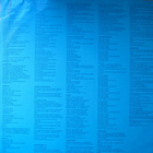 THE NORTHEN PIKES :: BIG BLUE SKY :: VINYYLI  LP      1987 - pikkukuva 4