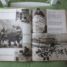 Talvisodasta Kunnian Päivät 1939-1940 Kirja - pikkukuva 5
