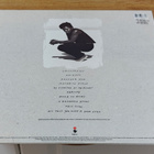 Tracy Chapman LP - pikkukuva 2