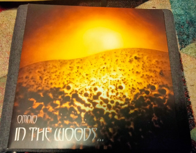 In The Woods... - Omnio 2lp (2022)