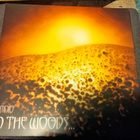 In The Woods... - Omnio 2lp (2022) - pikkukuva 1