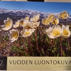 Vuoden luontokuvat 2022 - pikkukuva 1
