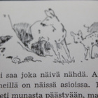 Felix Salten - Bampi 1.p. 1954 - pikkukuva 4