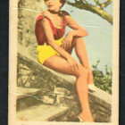 Keräilykuva - Joan Collins PA. 179 Fox - pikkukuva 1