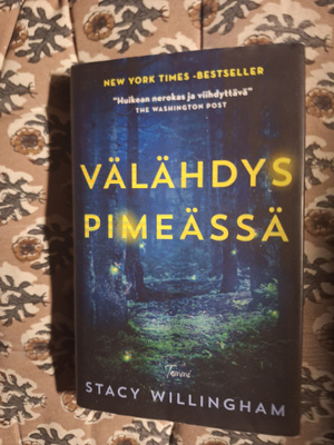 Stacy Willingham : Välähdys pimeässä 1p