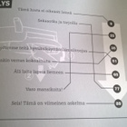 Varoitus! Älä niele nauloja! : kummallisia käyttöohjeita - pikkukuva 2