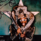 BOOTSY COLLINS -valokuva nimikirjoituksella - pikkukuva 2