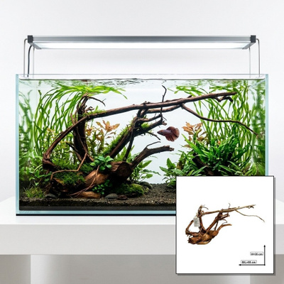 Uniikki akvaariojuurakko 55 cm | nr11A