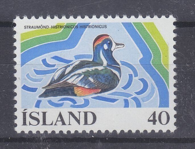 Islanti 1977 lintumerkki postituoreena.